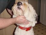 DSC00508.JPG