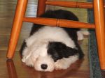naptime2.JPG
