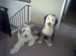 Picture017.jpg