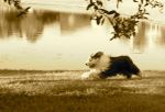 100_0924_2.JPG