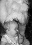 100_6867-2.jpg