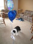 After balloon.jpg