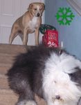 Bing and Elliot edited 2_edited-1.jpg