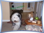 Bing and Elliot edited_edited-1.jpg