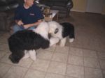 Bingley and Jewel.JPG