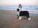 Bingley standing at beach.JPG
