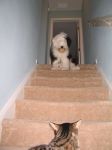 Downstairs . . ..JPG
