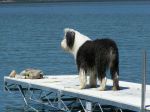 MT vacation 012.jpg