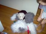 Amby 5-07 003.jpg