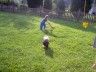 mowing.jpg