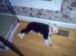 sleepy1.jpg