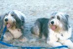 Hannah & Katrina_0001.jpg