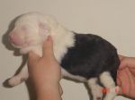 DSC03488.JPG