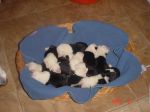 DSC03507.JPG