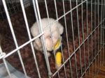 IMG_0264.JPG