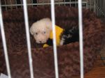 IMG_0268.JPG