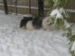 IMG_1485.JPG
