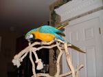 DSC00003.JPG
