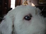 DSC00495.JPG