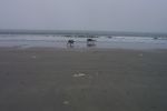 100_1350.JPG