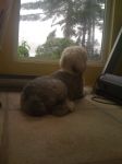 Picture 003~0.jpg