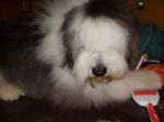Picture 006~0.jpg