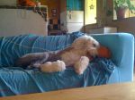 Picture 039.jpg