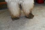 SAM_0459.JPG