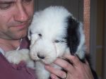Ali at 6 weeks old-05~0.jpg