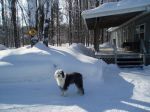 January Up-North 2009-06.jpg