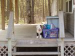 Rites of Spring 5-06-12.jpg