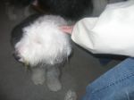 Pictures 092.jpg