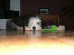 Emmie 077.jpg