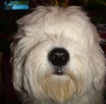 2005_0318Image0002.JPG