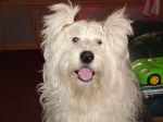 2005_0819Image0005.JPG