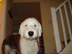 DSC00009.JPG