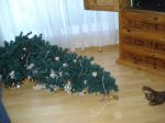 DSC00013.JPG