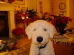 DSC00034.JPG