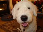 DSC00074.JPG