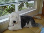 DSC00087.JPG
