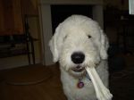 DSC00114.JPG