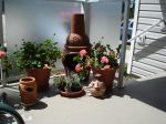 DSC00314.JPG