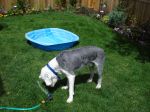 DSC00328.JPG