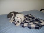DSC00338.JPG