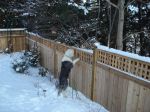 DSC00521.JPG