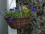 DSC00590.JPG
