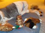 DSC00605.JPG