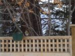 DSC01037.JPG
