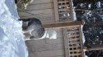DSC01069.JPG