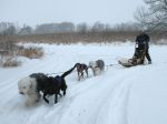 1221sledding.jpg